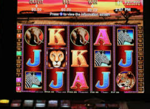 星空电竞app电脑免费版